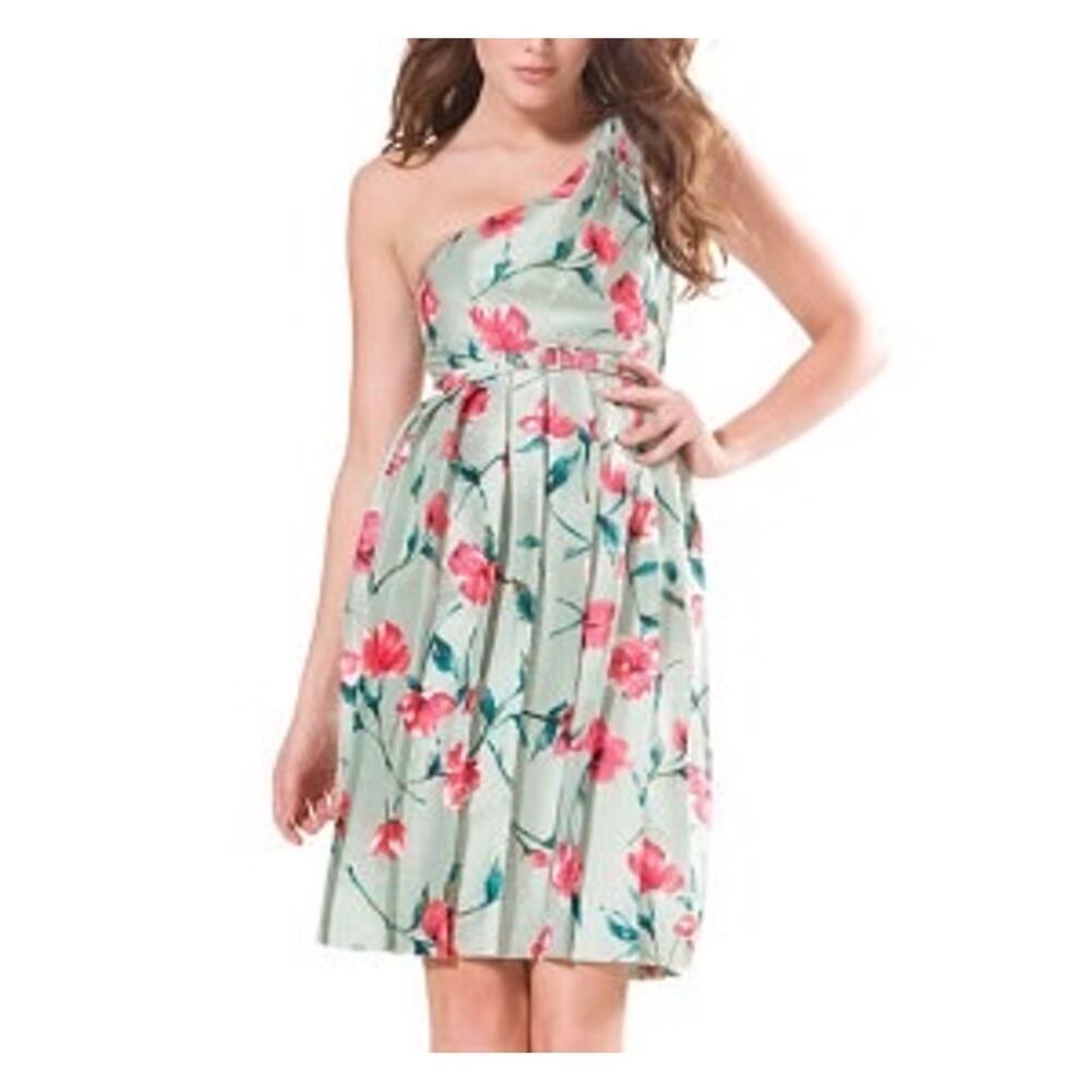 Express One Shoulder Floral Silk Dress - Size 6 - Belted